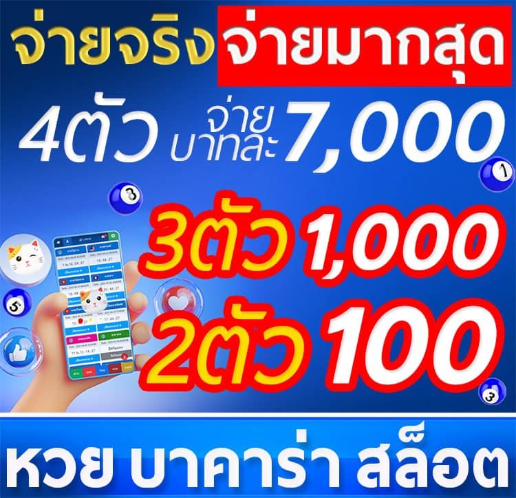 cat8888 - cat8888-th.org