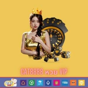 cat8888 หวย vip - cat8888-th.org