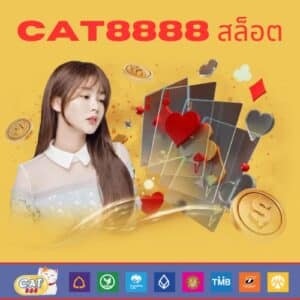 cat8888 สล็อต - cat8888-th.org