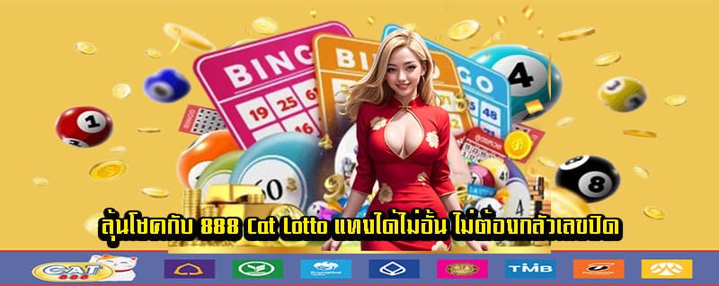 888 cat lotto