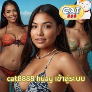 cat8888 huay เข้าสู่ระบบ